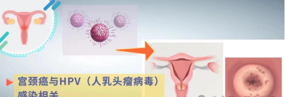 ad511bab324c8948eaa07752caf34d74