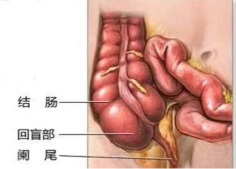 9e91a5fa93ad0e12a6fda6602cfd038e